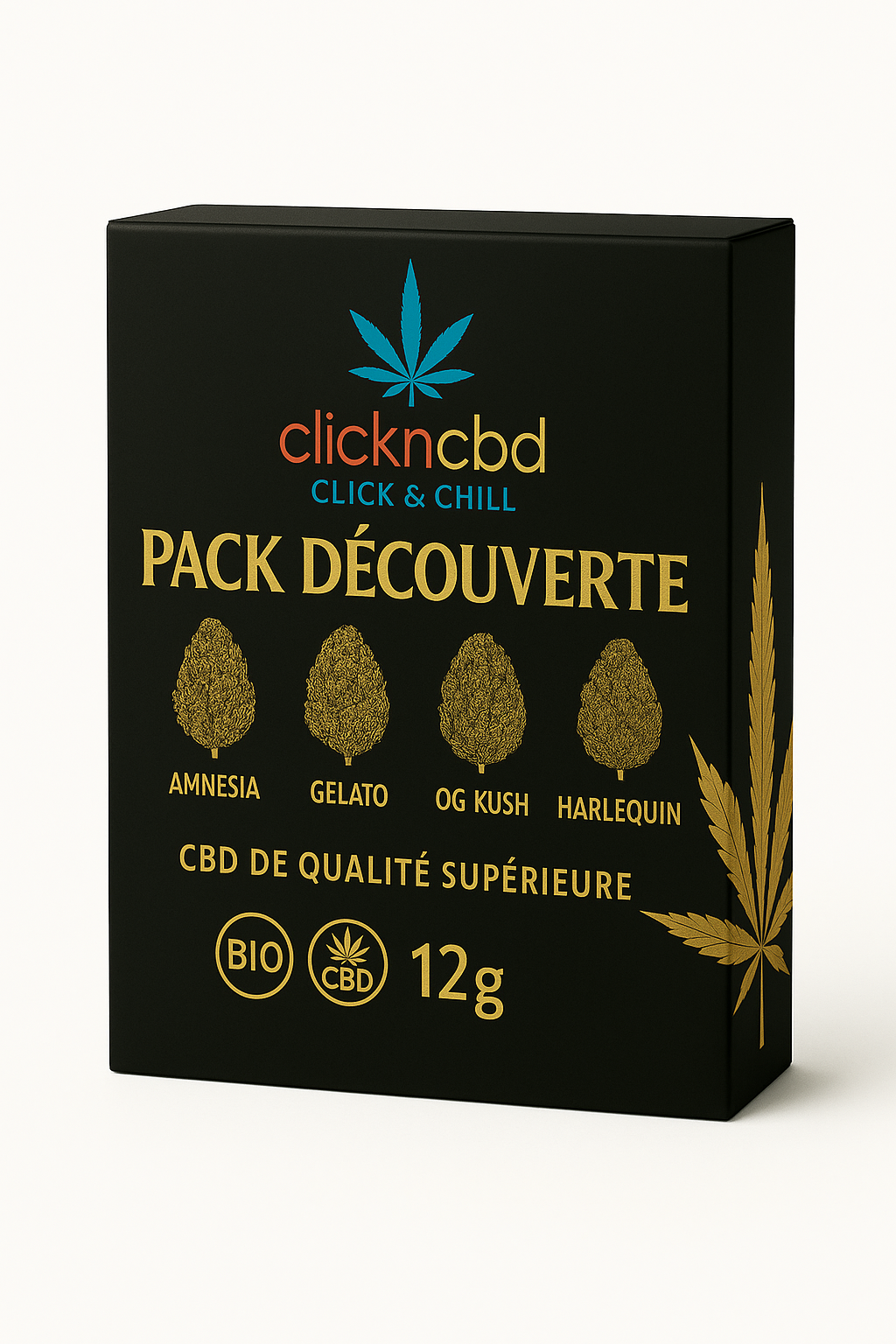 PACK DÉCOUVERTE