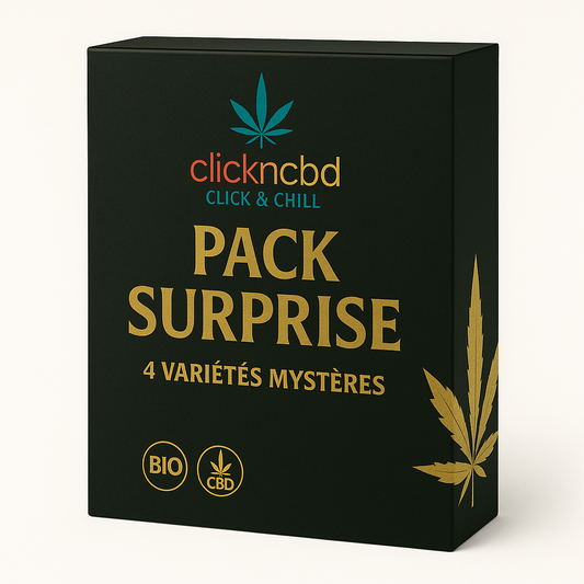 PACK SURPRISE