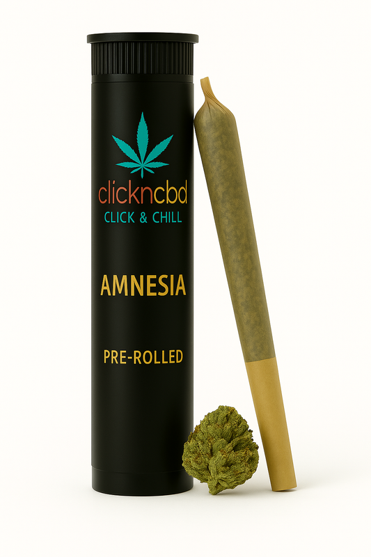 PRÉ-ROLLS Amnesia