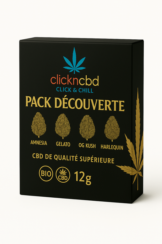 PACK DÉCOUVERTE