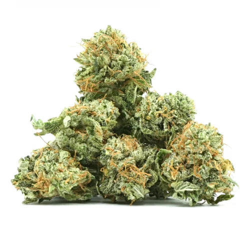 Small BUD OG Kush 17 % CBD