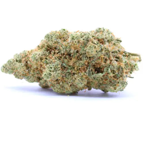 PACK EXPERTS 3 GR / FLEURS